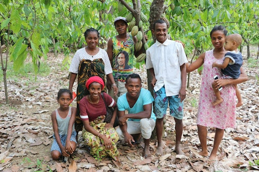 Cacao farmers pose near tree 