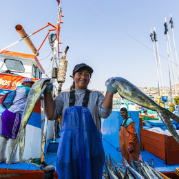 A smiling woman holds two large fish in each hand.