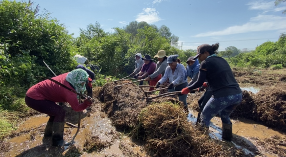 Mangrove Conservation