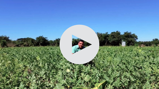 Sustainable agriculture video