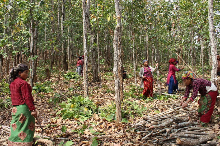 USAID Hariyo Ban II Program in Nepal