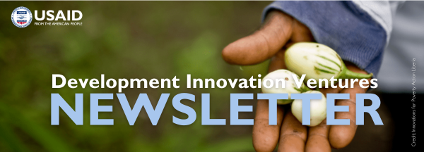 DIV Newsletter banner