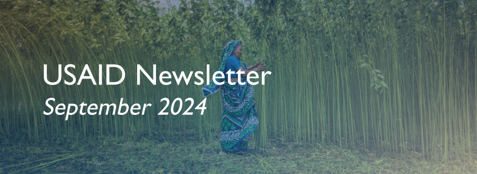 An older woman in a blue sari stands in a field of tall green bamnboo