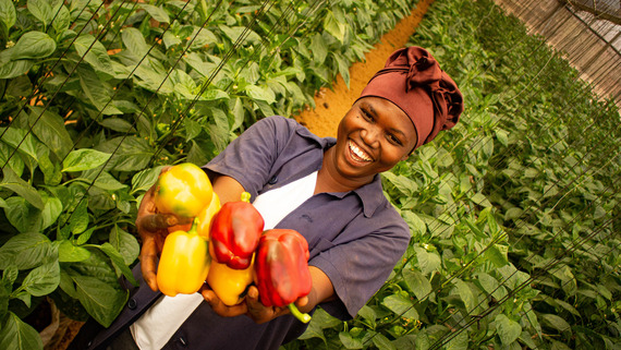 Farmer Prakseda holds up bell peppers from her harvest in Tanzania. 