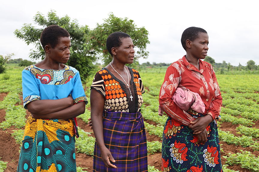 Three women farmers look at their field.