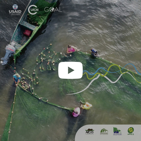 Biocommerce entrepreneurships best practices