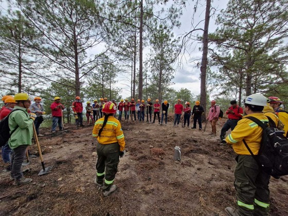 Honduras firefighting brigades