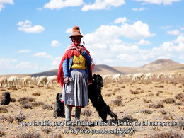 Woman in the high Andean mountains of Peru standing with her dog and behind her many sheep