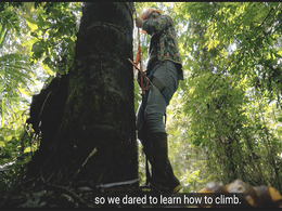 Woman climbing an aguajal tree in the Peruvian Amazon rainforest