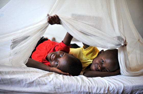 Two young boys peak out from under malaria net.