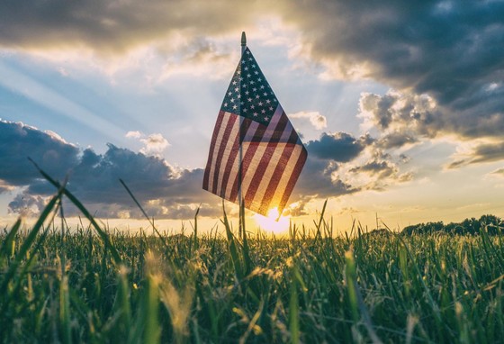 Small American flag in a field of green grass during sunset. 