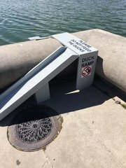 Improved Duck Ramp Installed at Capitol Reflecting Pool