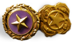 2 Pins with Gold Stars