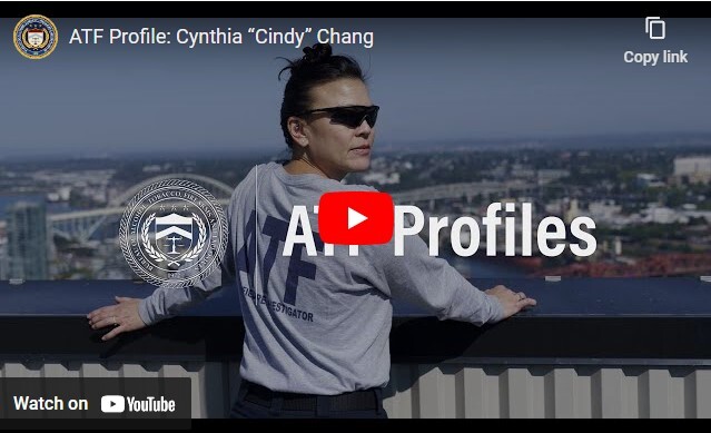 Cindy Chang Video Lander