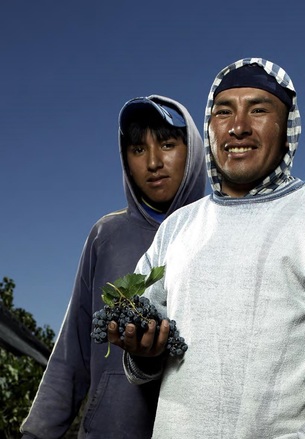 Farm workers
