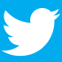 Twitter Logo White