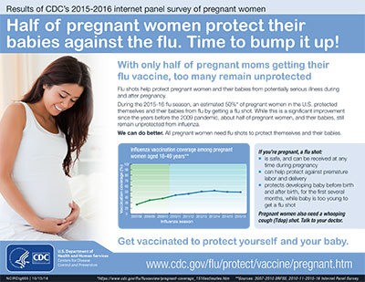 Pregnant Women & Influenza Infographic