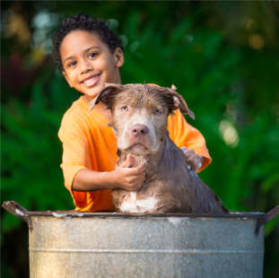 Boy with dog