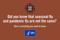 Did you know that seasona flu and pandemic flu are not the same? Here's everything you need to know.