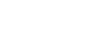 White Census Bureau logo