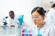 What Is Your College Degree Wotth?