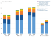 A More Diverse Nation 2019