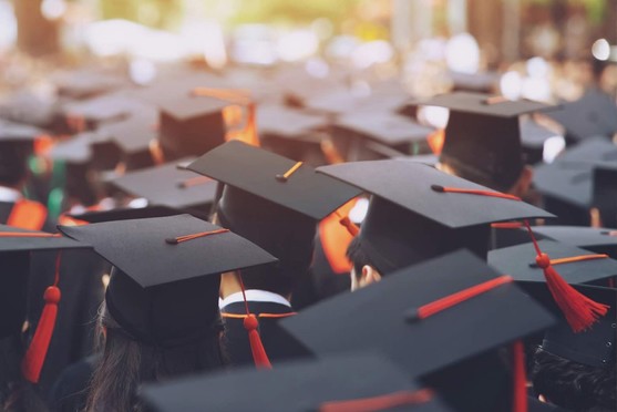 Where do college graduates go for jobs?