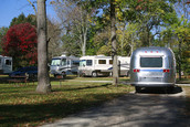 Image of recreational vehicles at a park