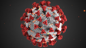 COVID-19 Virus
