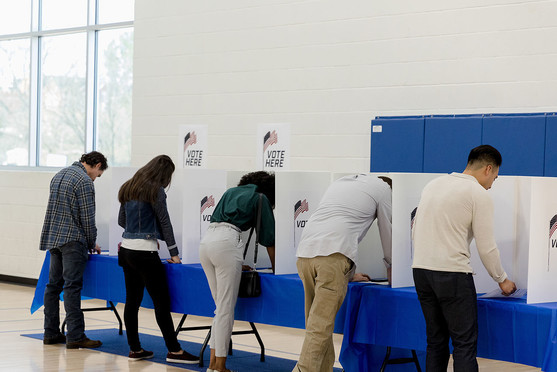 People at voting booth