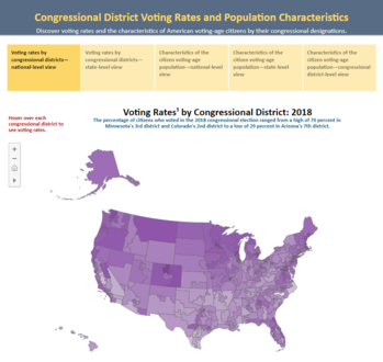 Congressional District Voting Rates