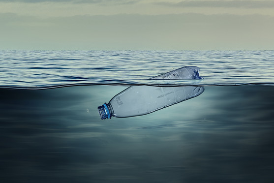A water bottle floating in the ocean. 