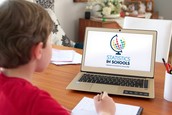 A student looks up Statistics in Schools resources on his laptop to learn about the census and demographics.