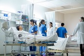 A female physician and female nurses tend to a patient.