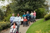 Several mothers with their children in strollers go for a walk in a park.