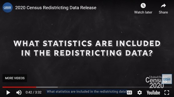 Redistricting Video 2