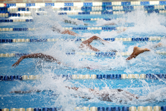 Swimmers competing in a race