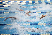 Swimmers competing in a race