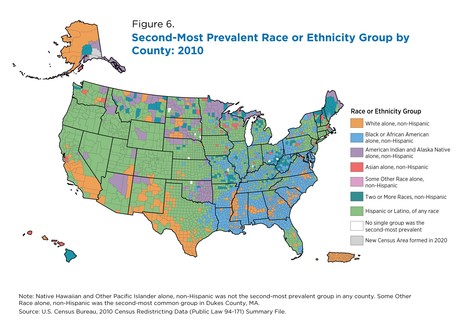 Measuring Racial and Ethnic Diversity