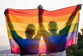 Household Pulse Survey Updates Sex Question Now Asks Sexual Orientation and Gender Identity