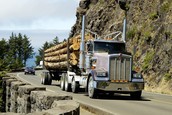 A truck carrying tree trunks travels along a highway.