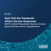 How Did the Pandemic Affect Survey Response?