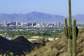 Desert scenery with a cactus in the foreground and buildings and mountains in the background