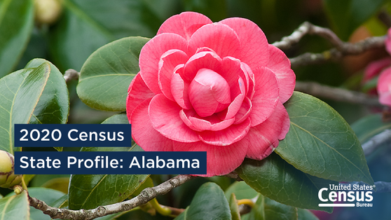 Alabama 2020 Census State Profile