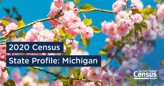 2020 Census; State Profile: Michigan