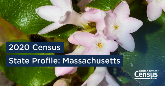 Massachusetts: America Counts 2020 Census State Profile