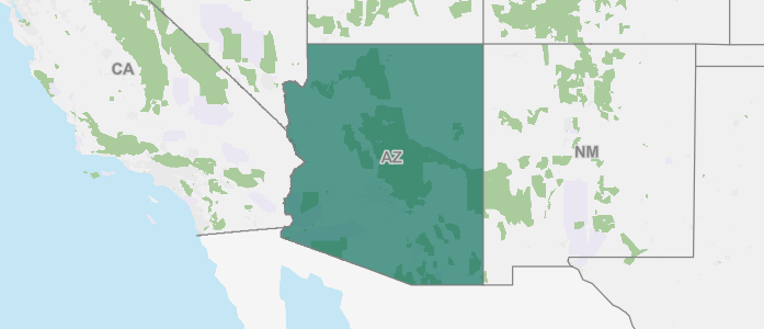 Arizona State Profile