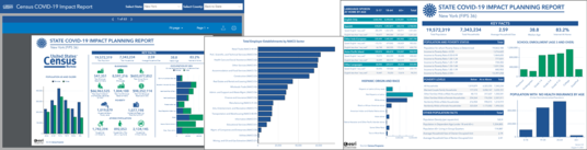 Census COVID-19 Impact Report for New York