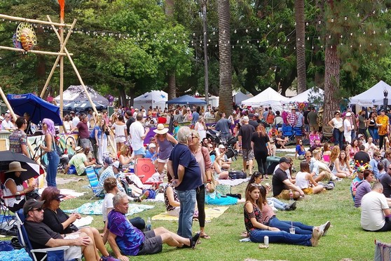 A crowd of people gathered outdoors in a grassy area.