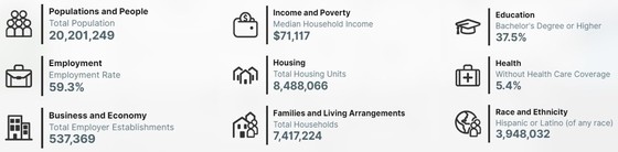 New York state demographics